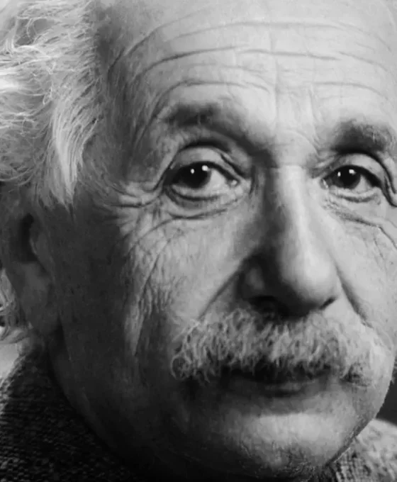 εγκέφαλος Αϊνστάιν